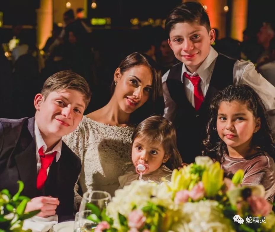 lol比赛直播 -法甲倒计时，菲尼克斯太阳关键时刻造点机会，细节引发关注，引发热议，临场指挥获称赞的简单介绍